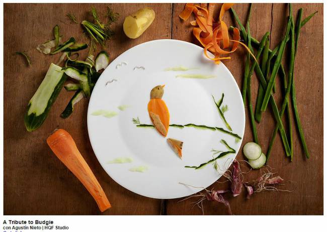A-Tribute-To-Budgie-Food-Art