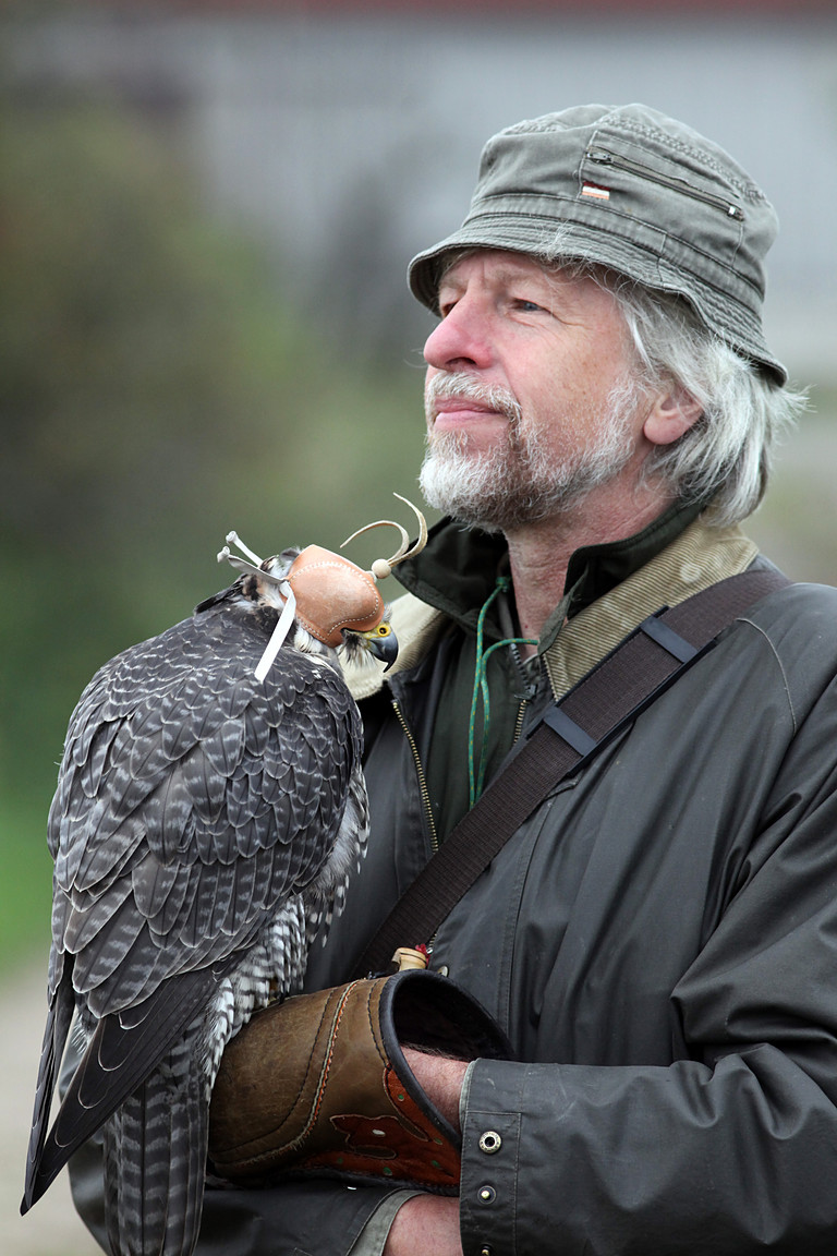 Czech-Falconry-Birds-Hunting-Bohemian-Photo-111