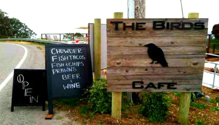 Pacific-Coast-Highway-Birds-Cafe-Bodega-Bay
