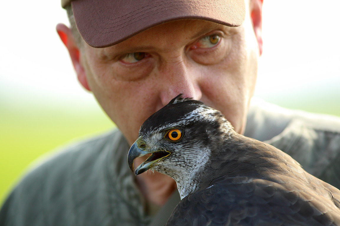 Czech-Falconry-Birds-Hunting-Bohemian-Photo-29
