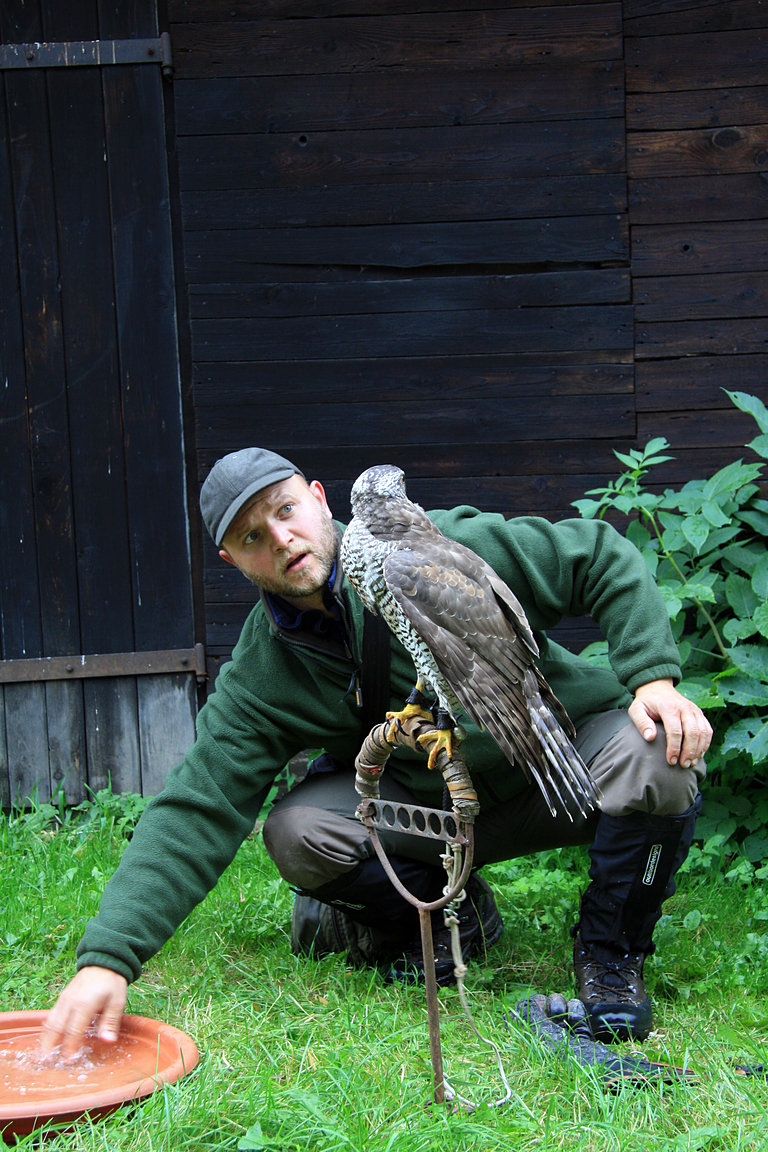 Czech-Falconry-Birds-Hunting-Bohemian-Photo-44