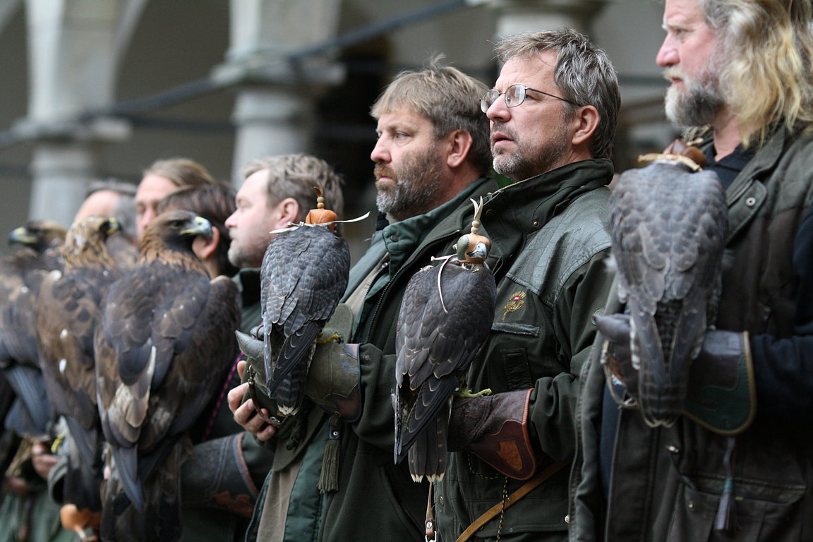 Czech-Falconry-Birds-Hunting-Bohemian-Photo-64