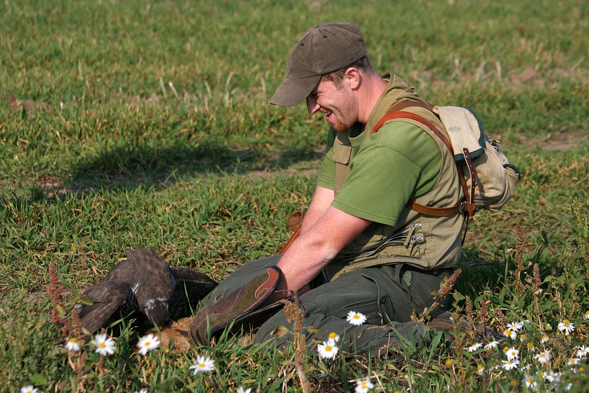 Czech-Falconry-Birds-Hunting-Bohemian-Photo-72