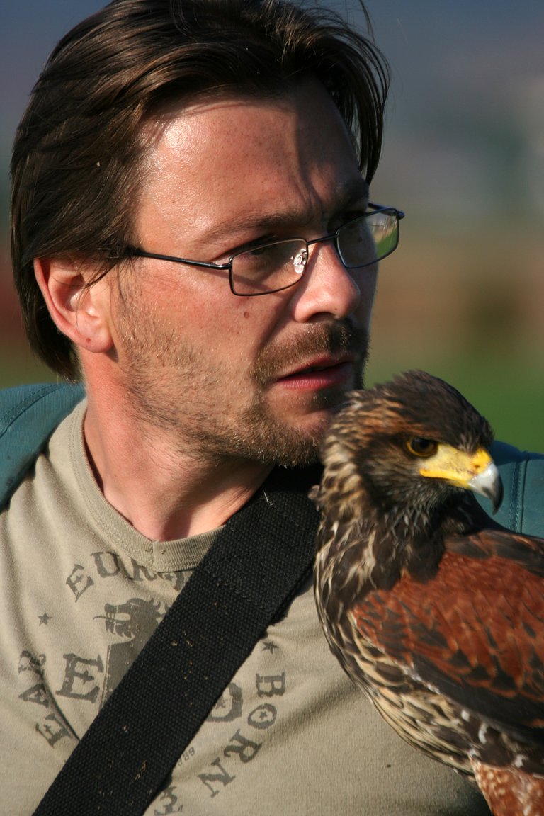 Czech-Falconry-Birds-Hunting-Bohemian-Photo-75