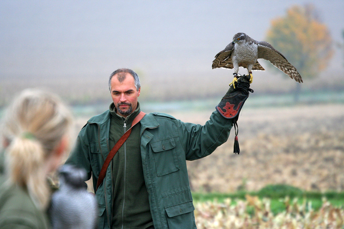 Czech-Falconry-Birds-Hunting-Bohemian-Photo-99