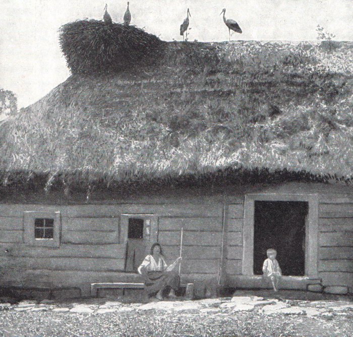 Eastern-Slovak-peasants-with-lucky-storks
