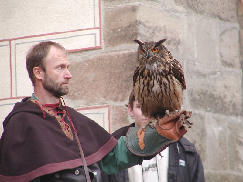 Czech Medieval Easter Traditions Falconry