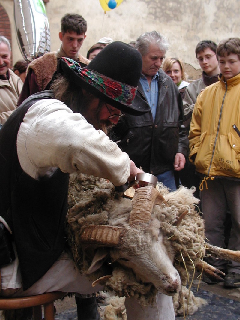 Shearing the sheep - Czech Medieval Easter Traditions