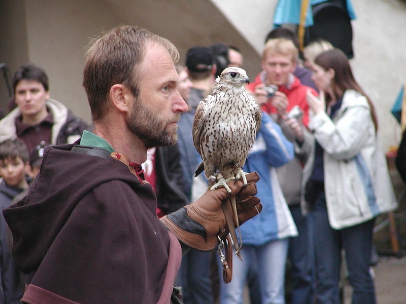 Hawking and Falconry - Czech Medieval Easter Traditions