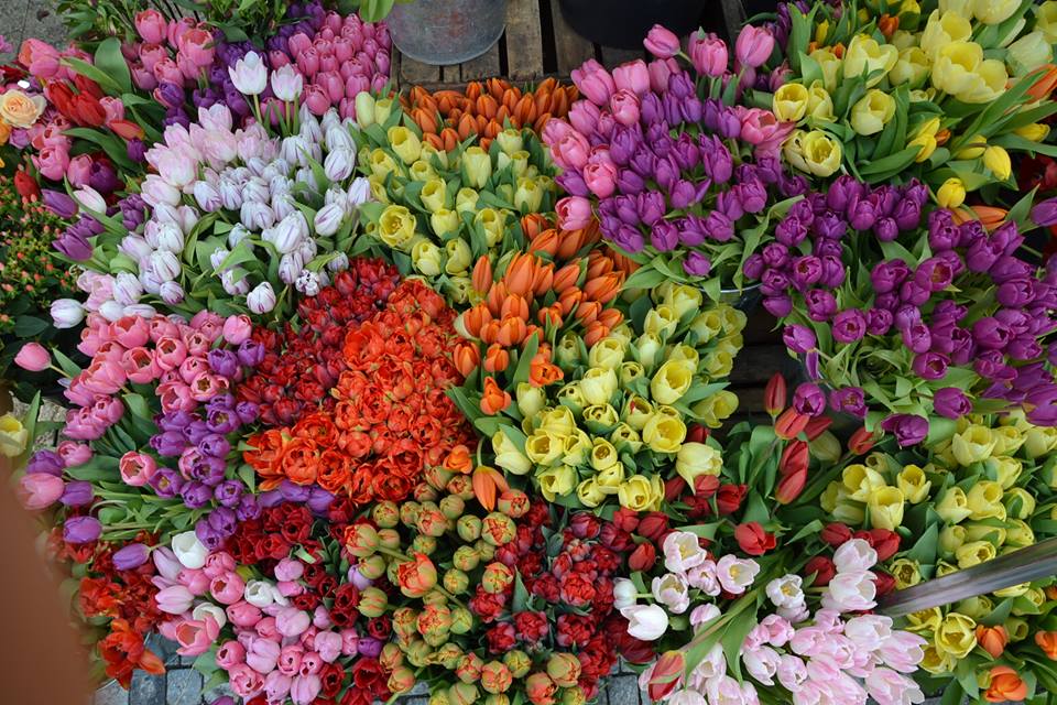 Farmers-Market-Prague-Flowers-11