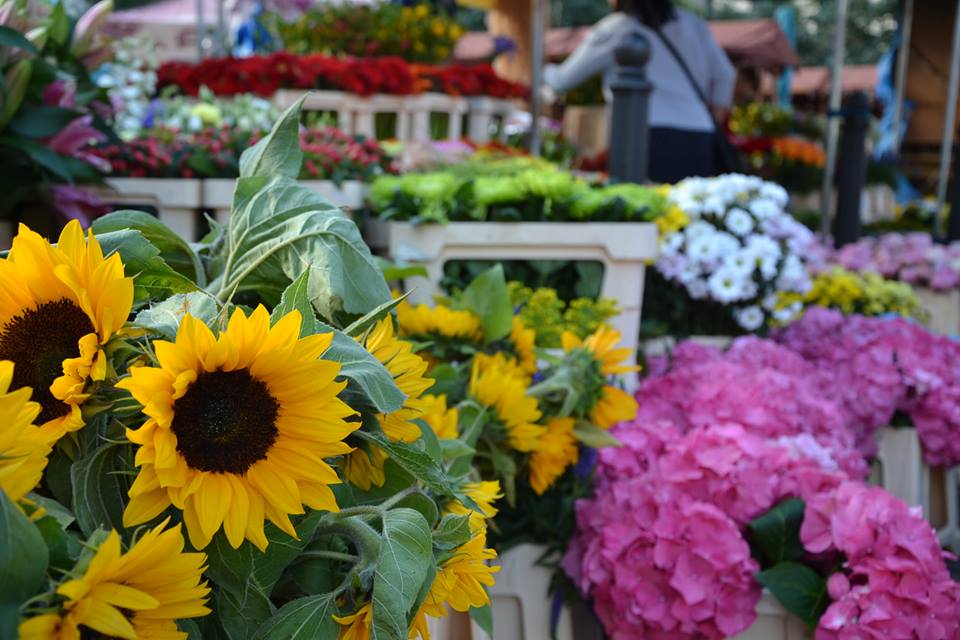 Farmers-Market-Prague-Flowers-2