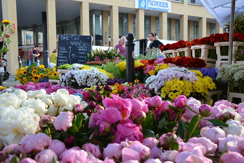 Farmers-Market-Prague-Flowers-3