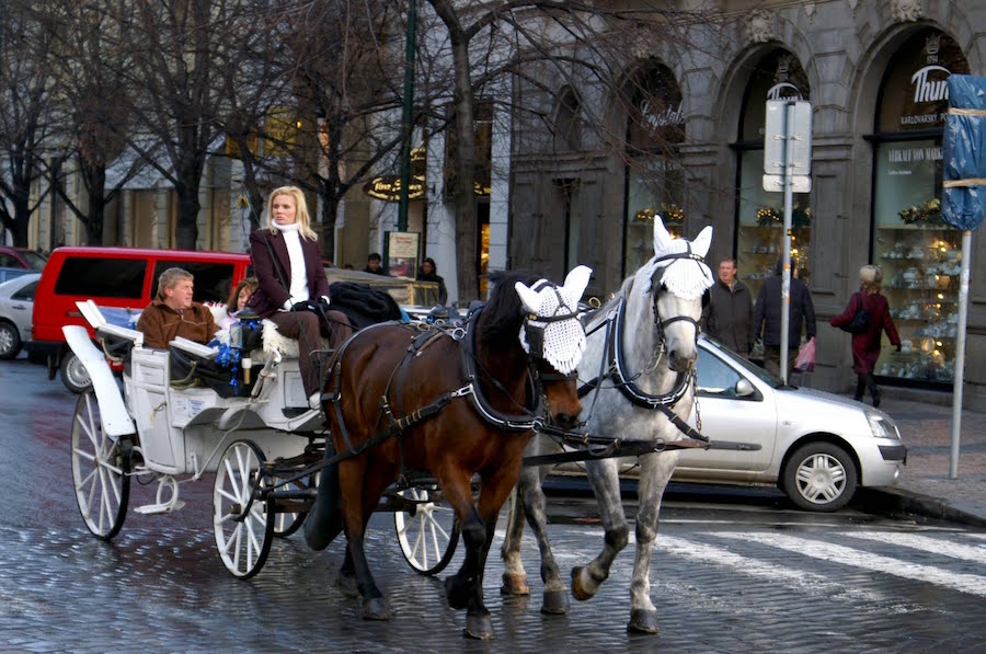 horse-drawn-carriage-prague-tres-bohemes-1