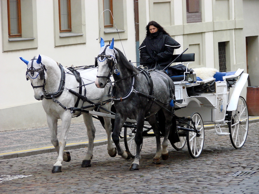 horse-drawn-carriage-prague-tres-bohemes-4