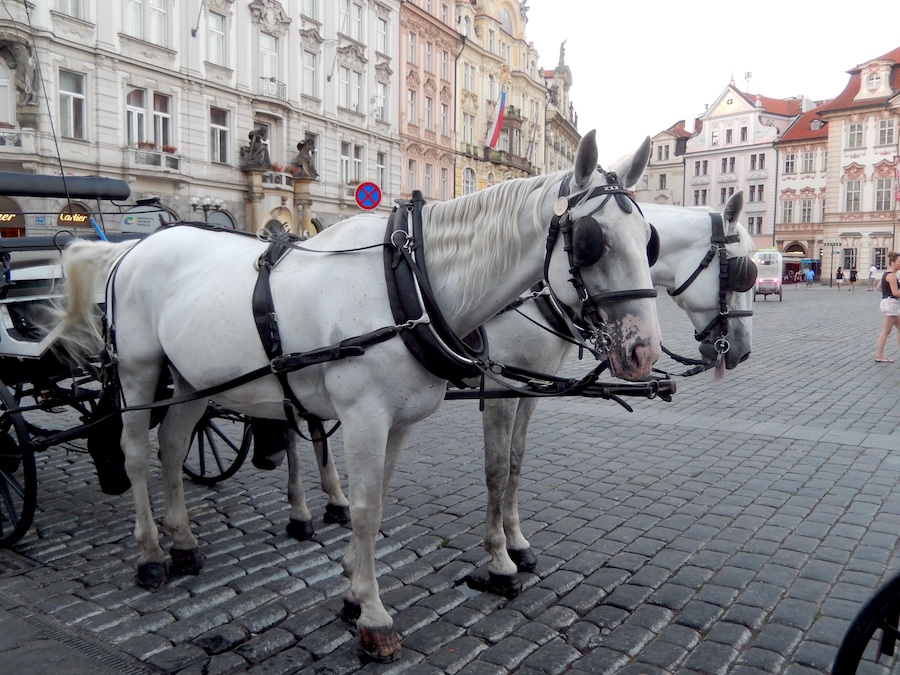horse-drawn-carriage-prague-tres-bohemes-5