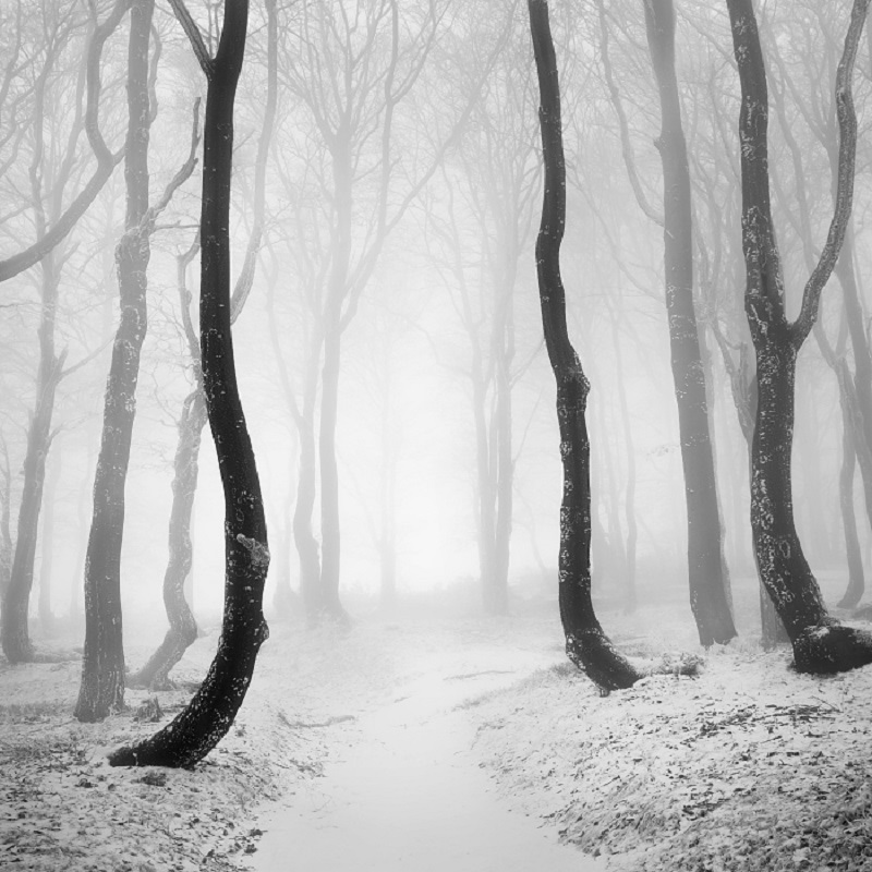 Daniel_Řeřicha-Winter_Wonderland_19