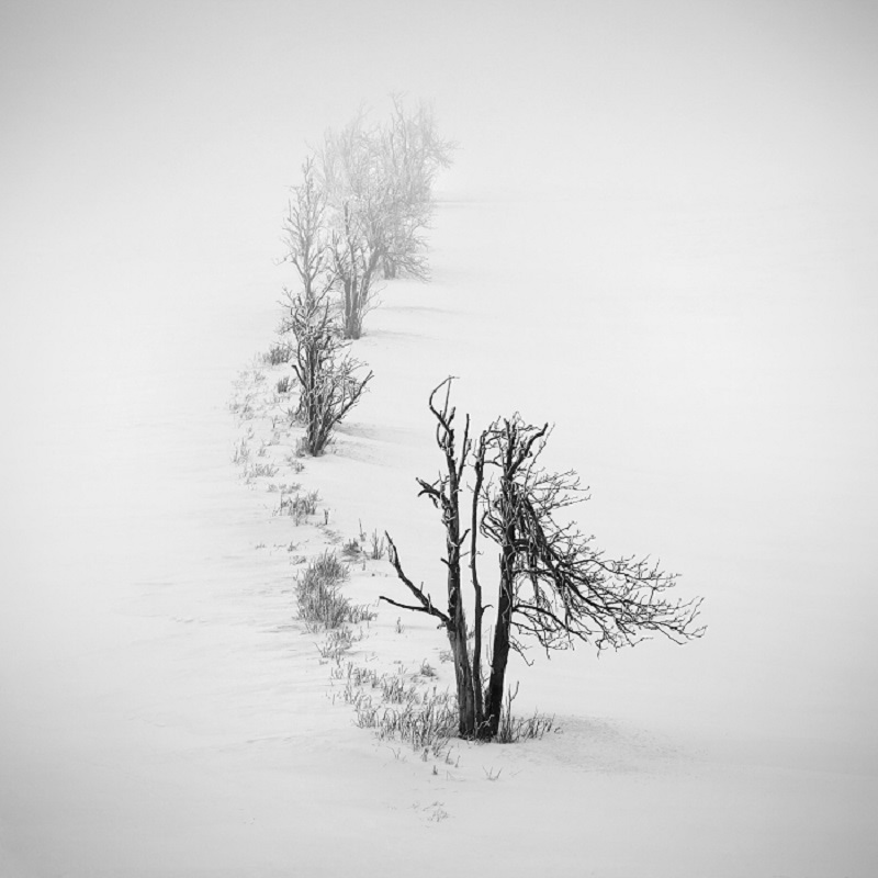 Daniel_Řeřicha-Winter_Wonderland_20