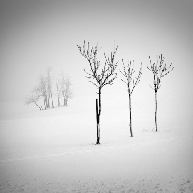 Daniel_Řeřicha-Winter_Wonderland_23