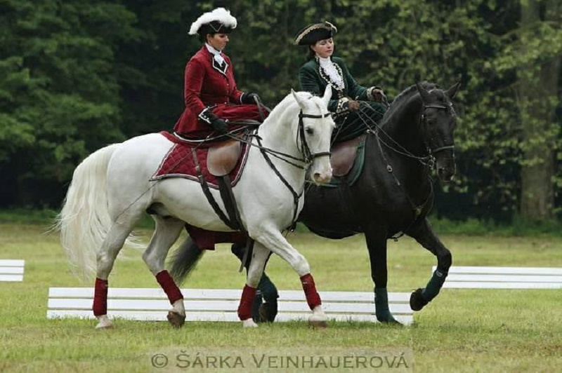 Kladruber The Majestic & Rare Czech Horses of Emperors and Kings