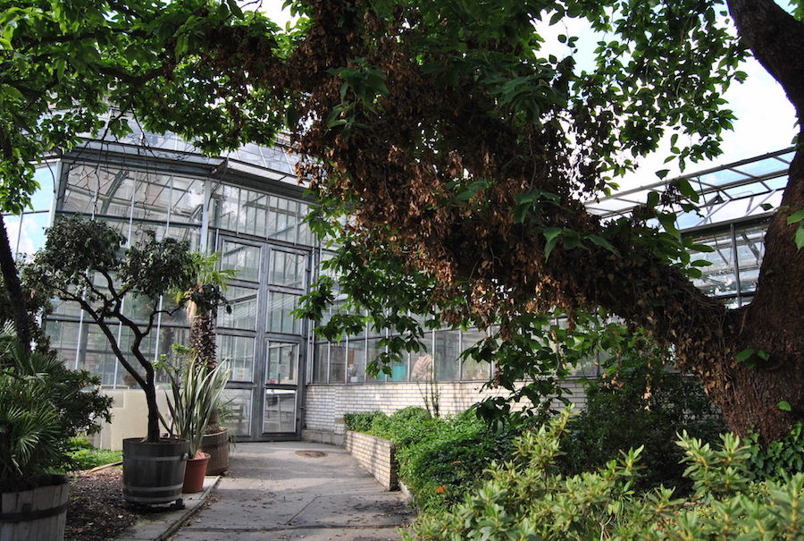 Charles-University-Botanical-Garden-Tres-Bohemes-4