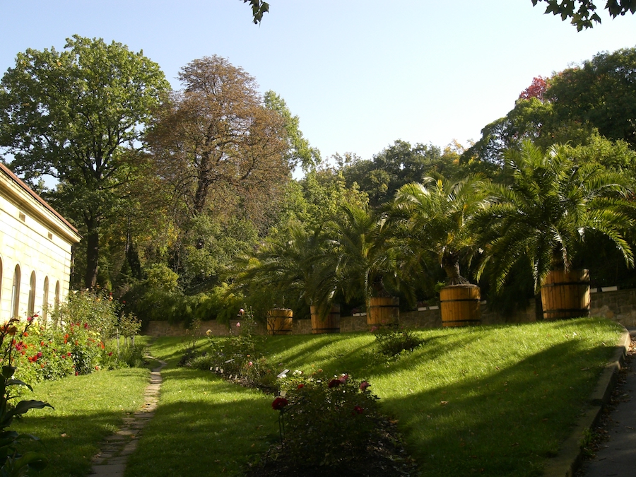 Charles-University-Botanical-Garden-Tres-Bohemes-5