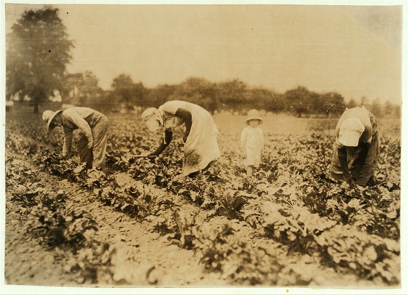 Bohemian Farming Families of the Early 1900s