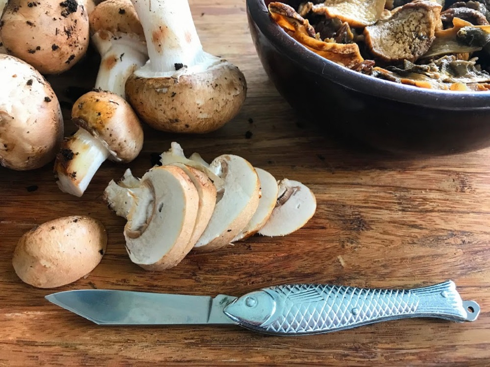Czech fish knife