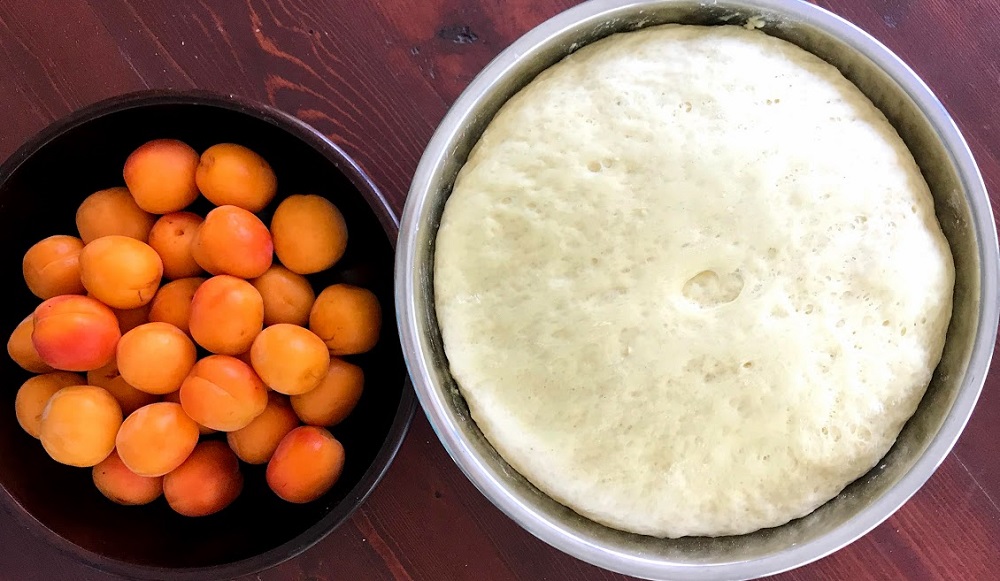 Czech Apricot Dumplings Recipe
