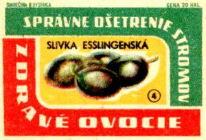 Bohemian-Graphics-Czech-Design-17-Tres-Bohemes