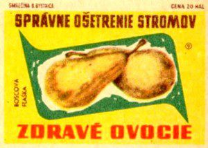 Bohemian-Graphics-Czech-Design-4-Tres-Bohemes