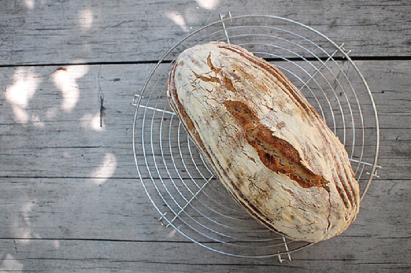 Czech-Bread-from-Rye-Leavening