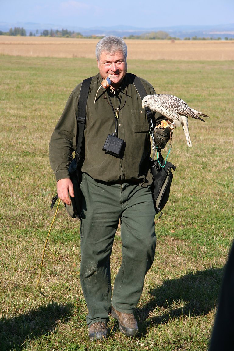 Czech-Falconry-Birds-Hunting-Bohemian-Photo-90