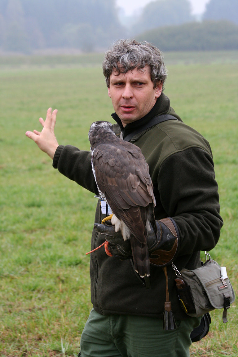 Czech-Falconry-Birds-Hunting-Bohemian-Photo-95