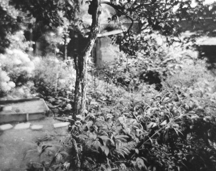 JOSEF SUDEK Photograph