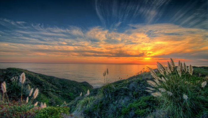 Pacific-Coast-Highway-Half-Moon-Bay