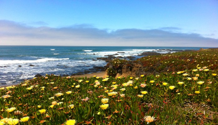 Pacific-Coast-Highway-Northern-California