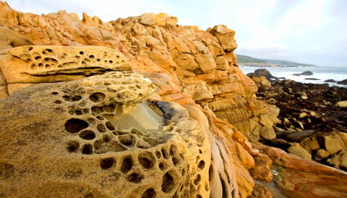 Pacific-Coast-Highway-Salt-Point