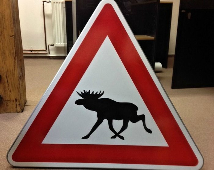 znacka-los-moose-sign-czech-republic