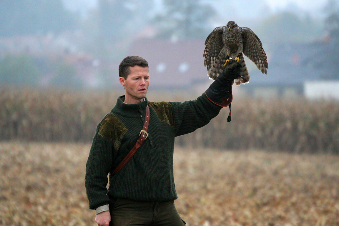Czech-Falconry-Birds-Hunting-Bohemian-Photo-100