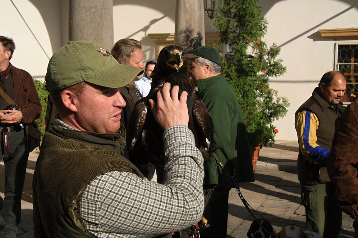 Czech-Falconry-Birds-Hunting-Bohemian-Photo-13