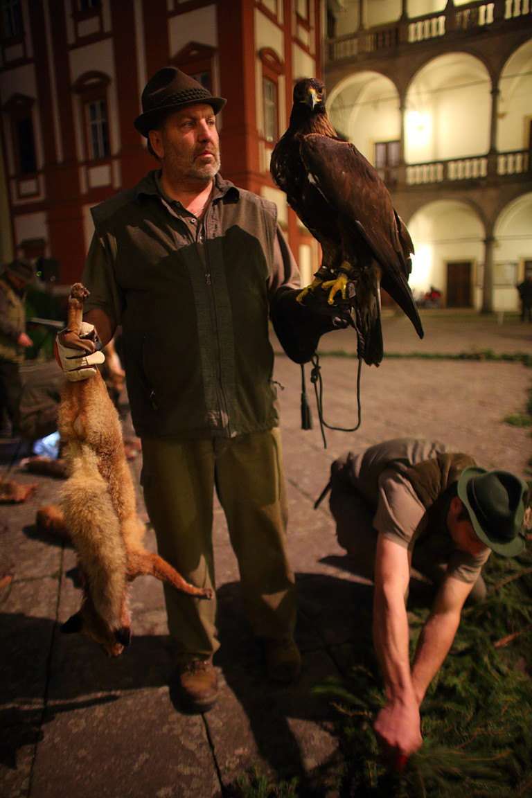 Czech-Falconry-Birds-Hunting-Bohemian-Photo-38