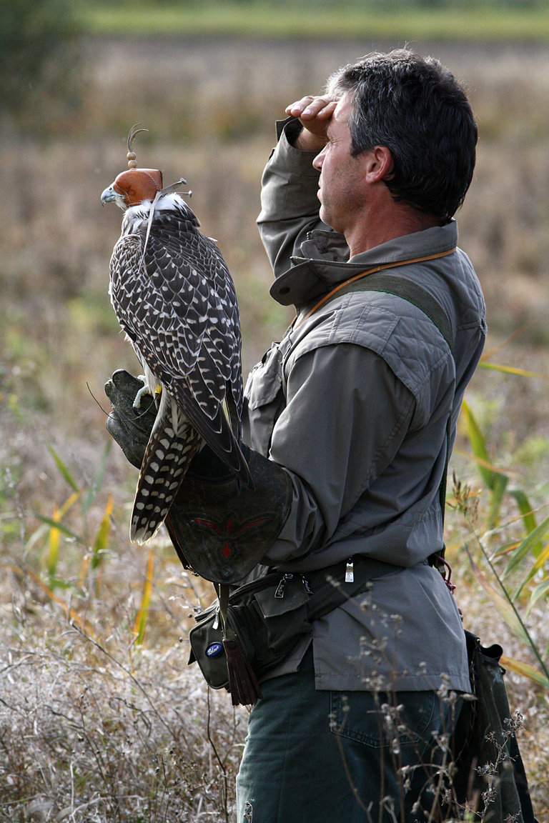 Czech-Falconry-Birds-Hunting-Bohemian-Photo-58