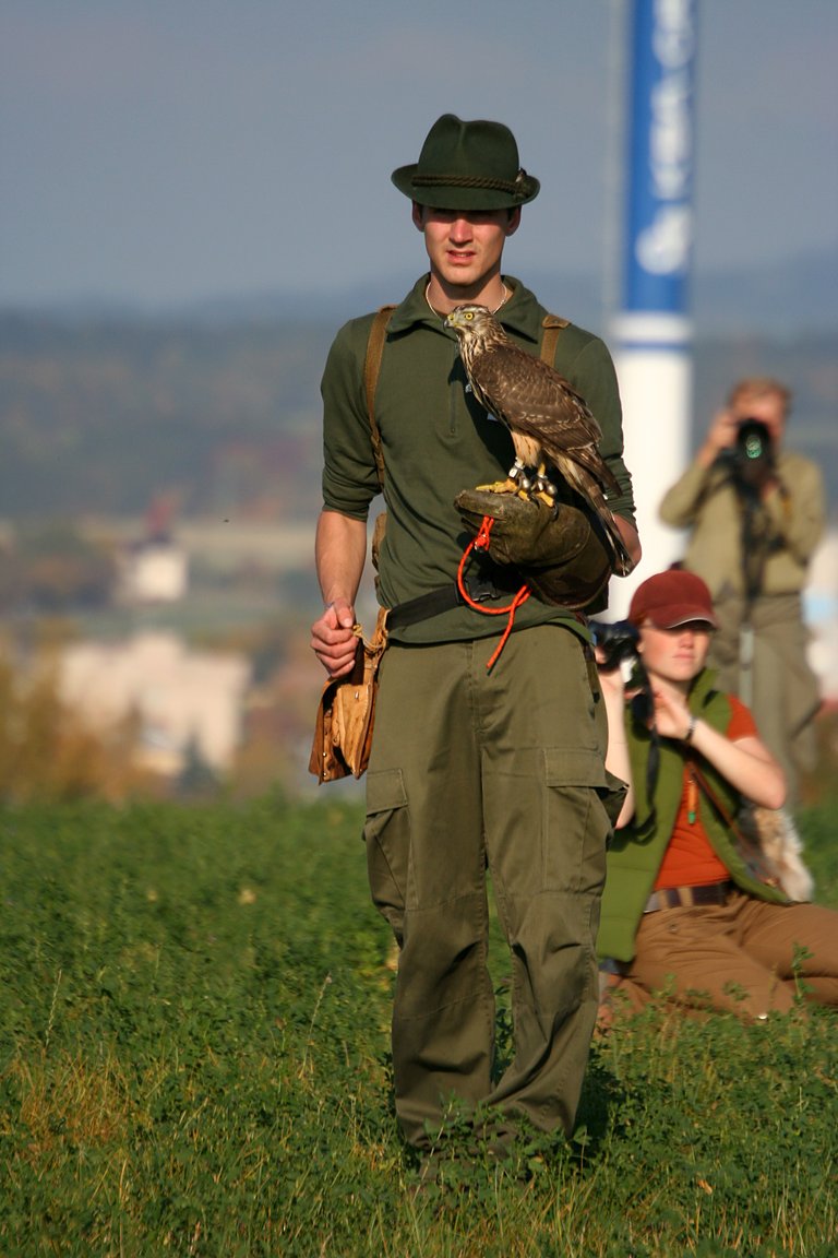 Czech-Falconry-Birds-Hunting-Bohemian-Photo-74