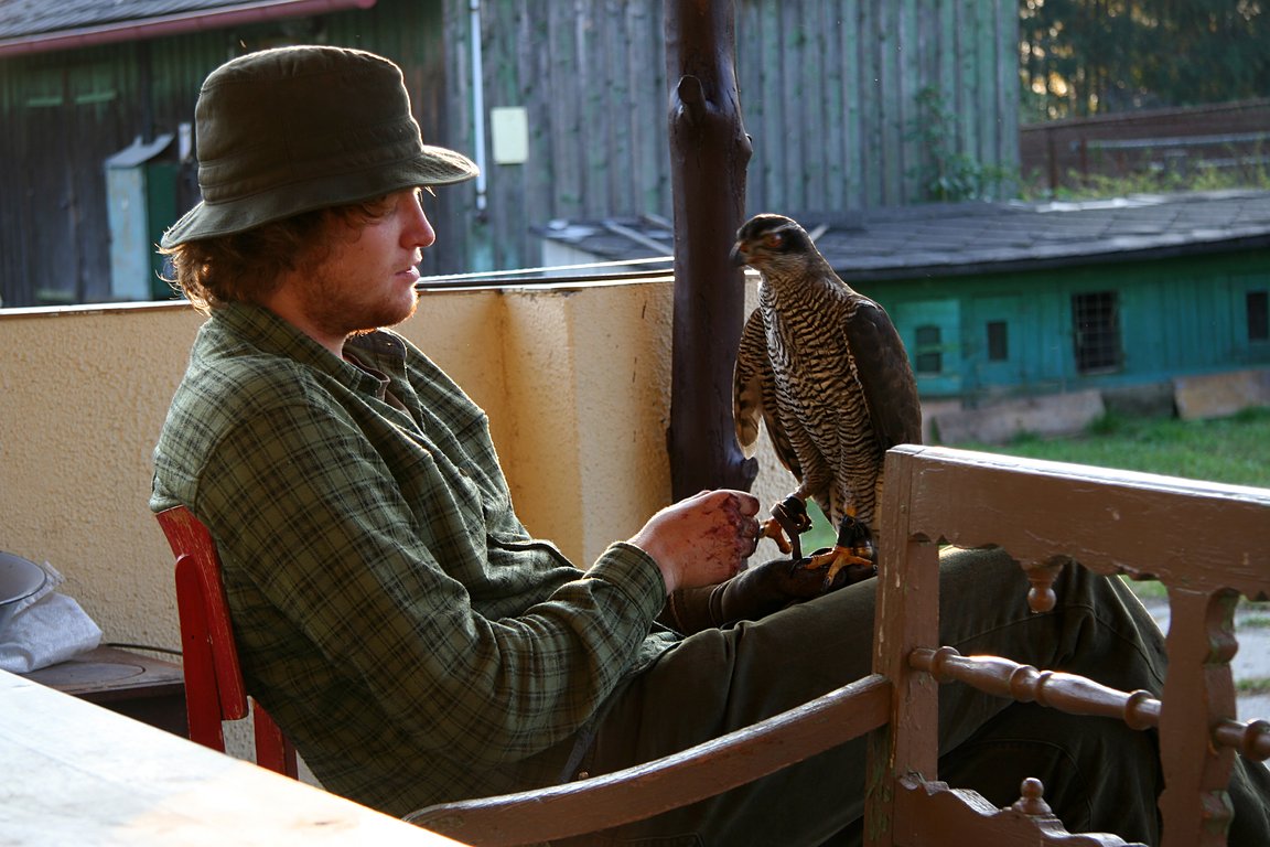 Czech-Falconry-Birds-Hunting-Bohemian-Photo-76