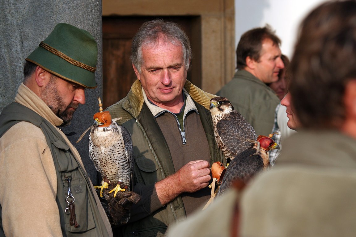 Czech-Falconry-Birds-Hunting-Bohemian-Photo-79