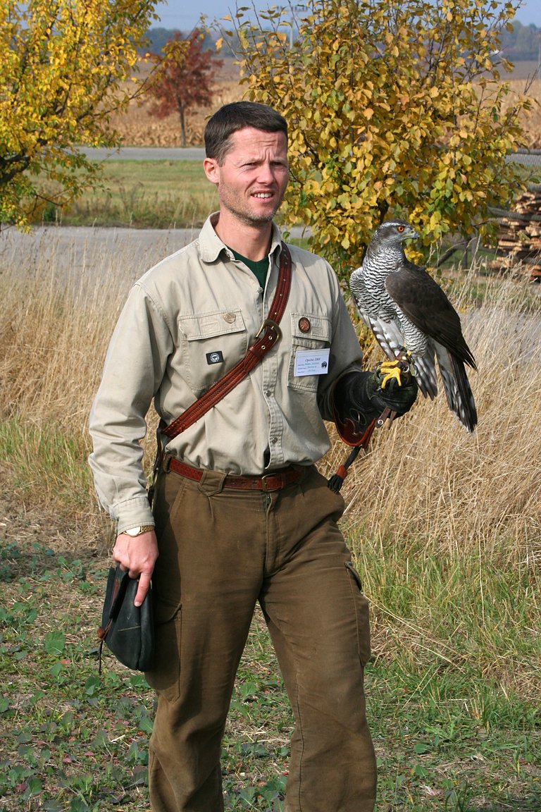 Czech-Falconry-Birds-Hunting-Bohemian-Photo-80