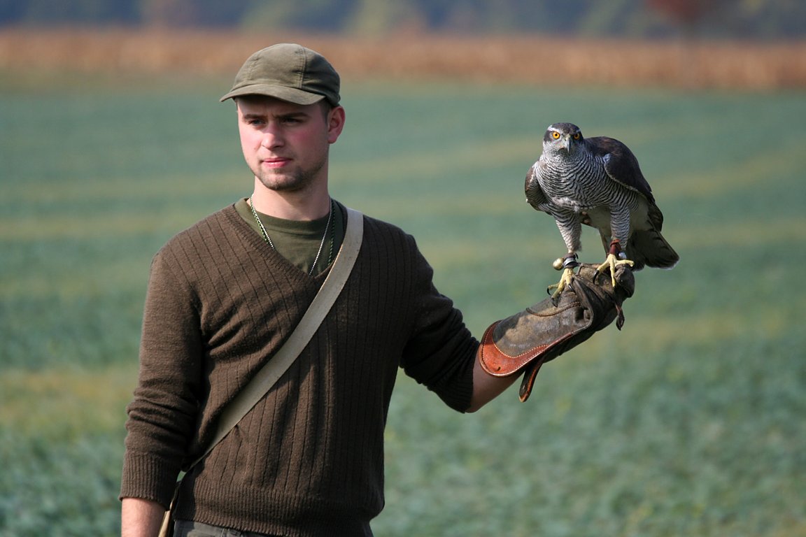 Czech-Falconry-Birds-Hunting-Bohemian-Photo-81