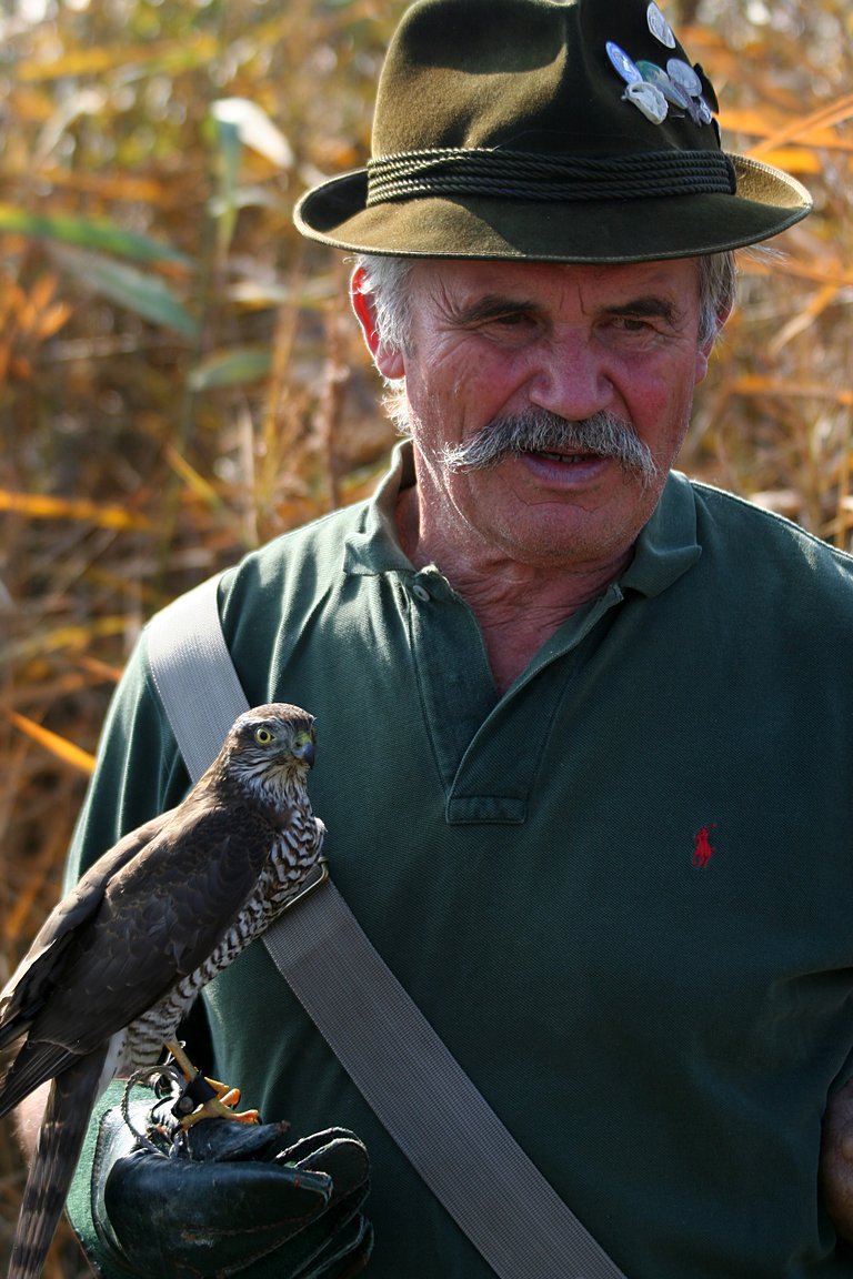 Czech-Falconry-Birds-Hunting-Bohemian-Photo-82