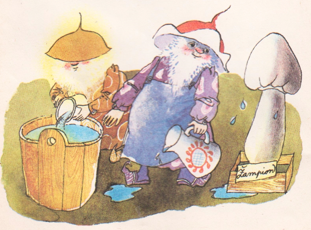 Zdenka_Krejcova_Mushroom_Forest_14