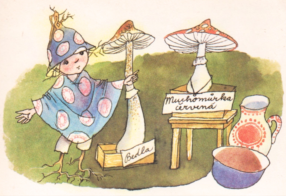 Zdenka_Krejcova_Mushroom_Forest_15